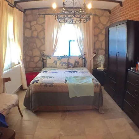 Tas Konak Didim